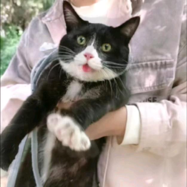 李二蛋的日常