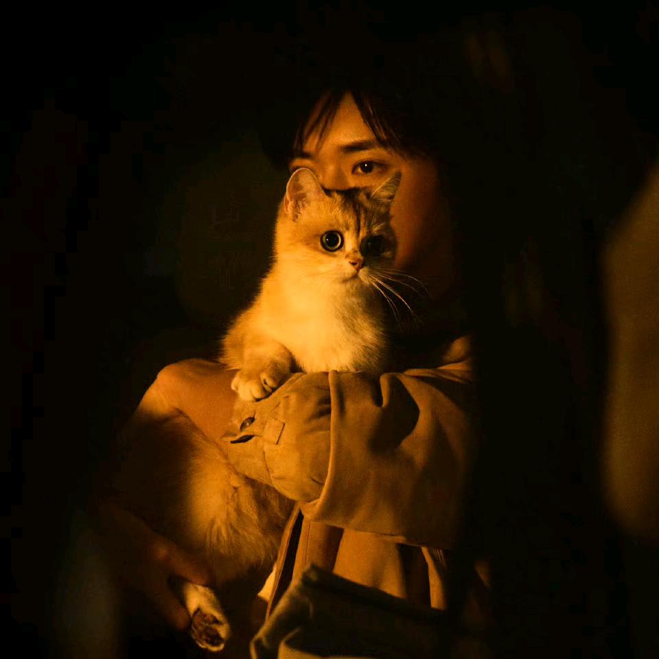 一条小鱼干🐟（见过十个勤天2次版）