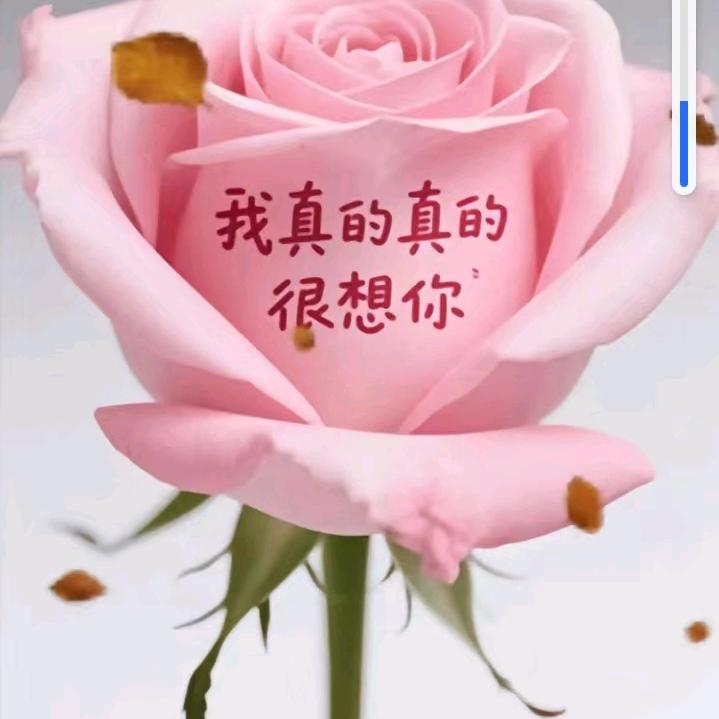 雨蒙蒙