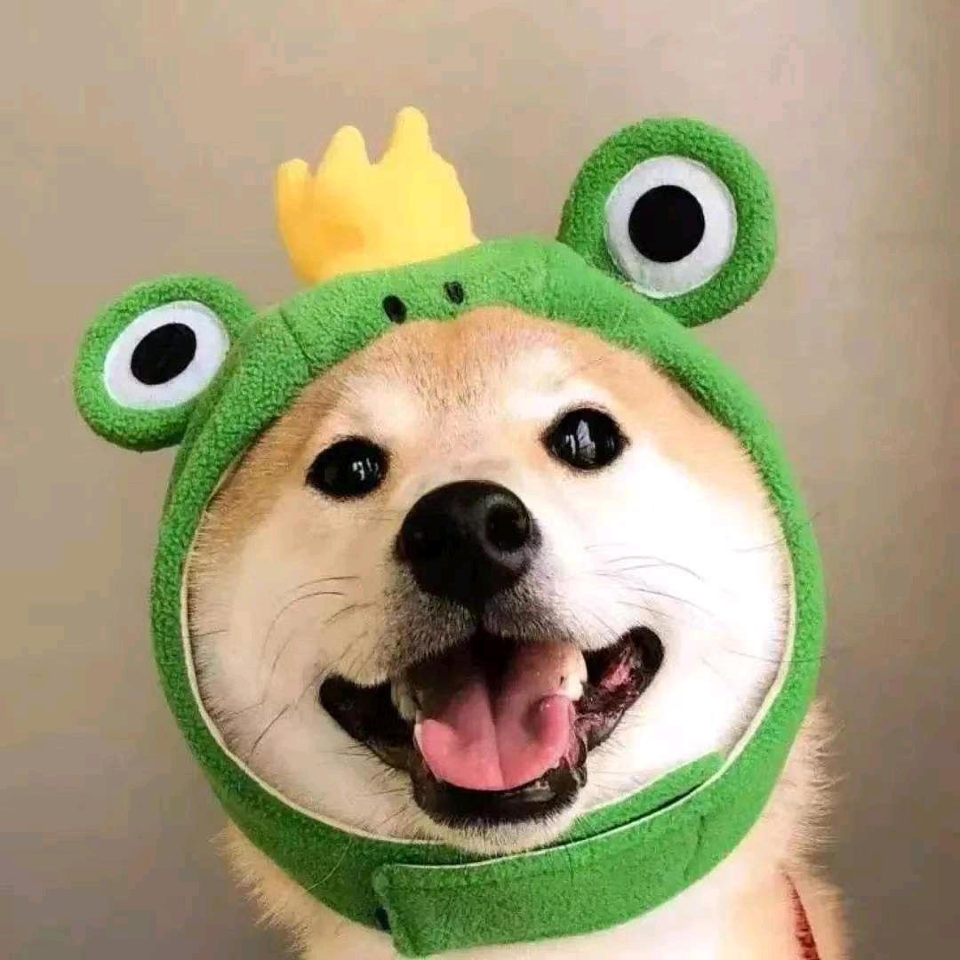 霸气一生（禁止连赞）