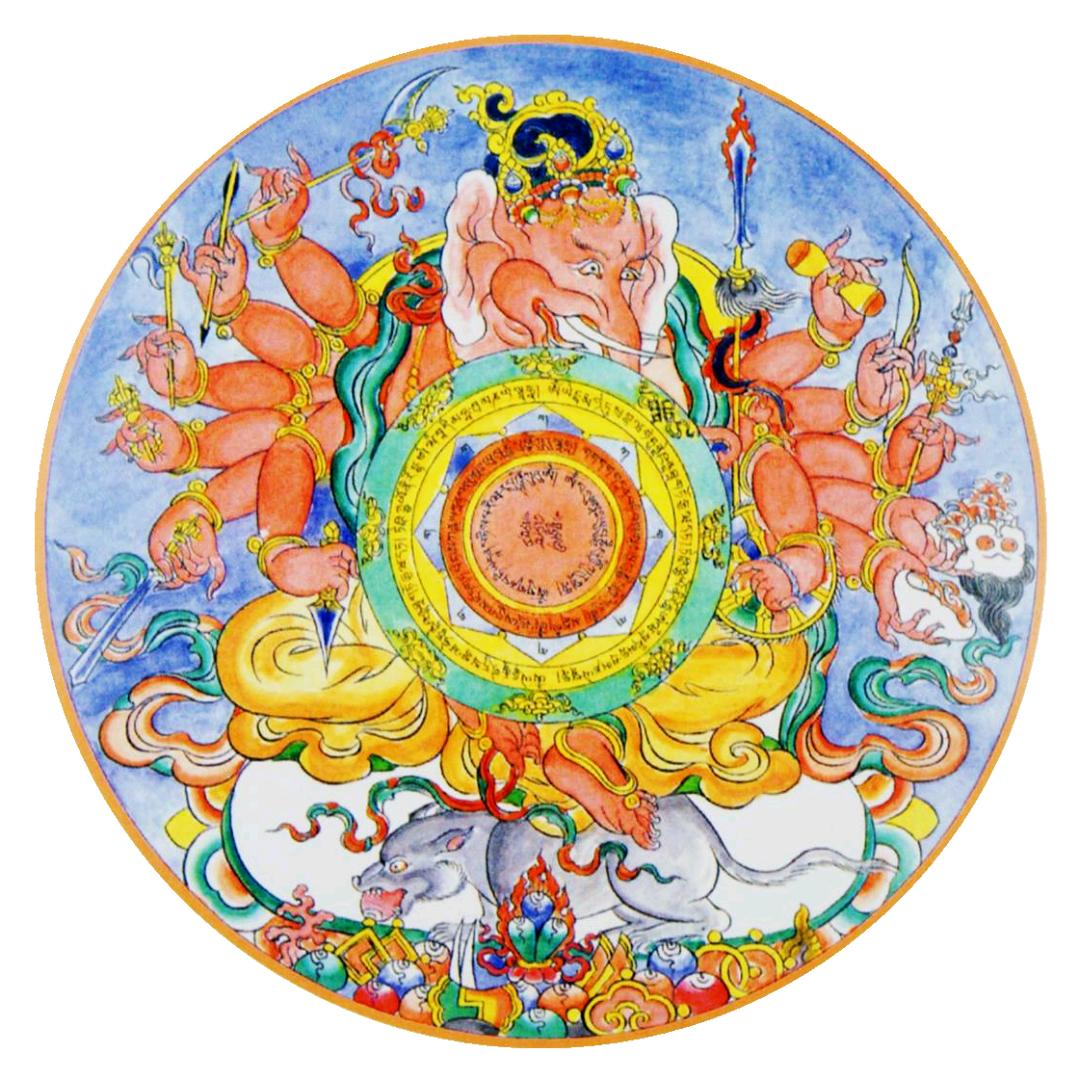 贵州芬姐