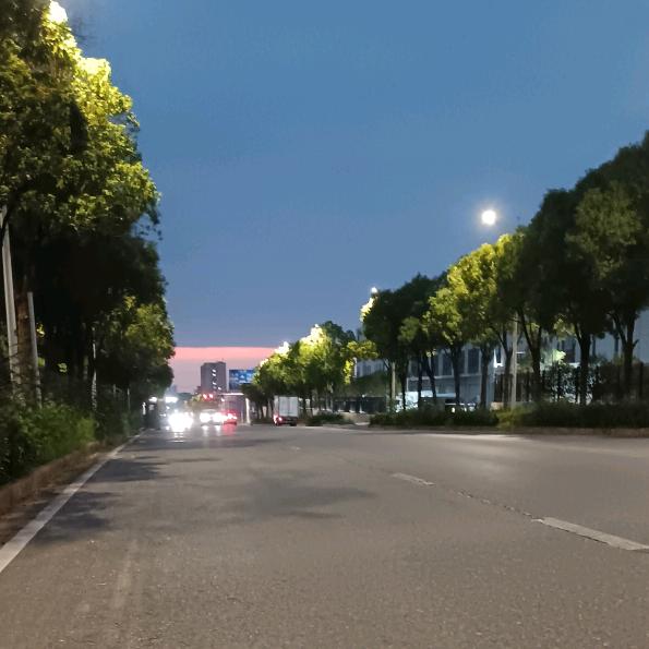 脑白金