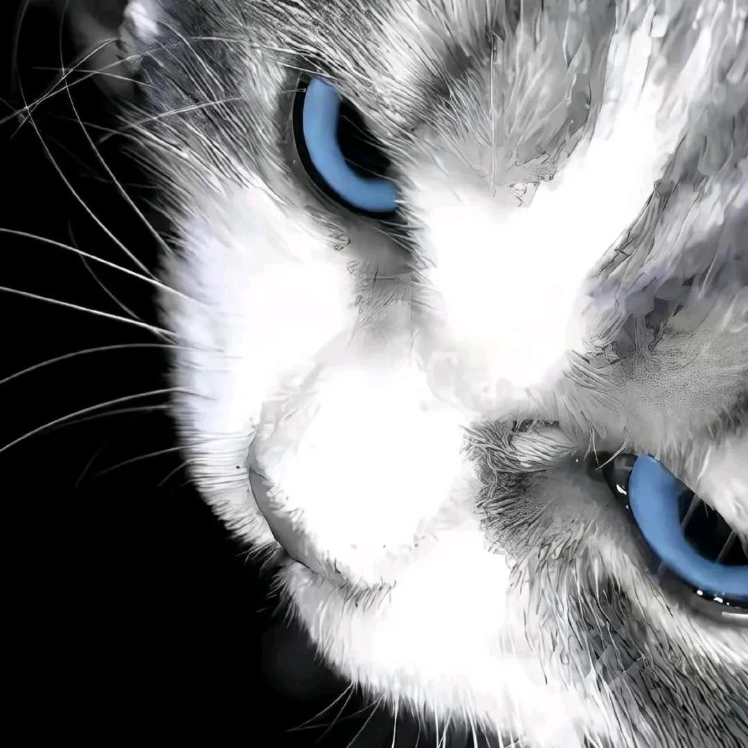 Palmerston