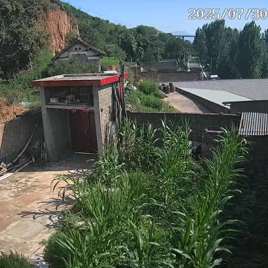 明天更精彩