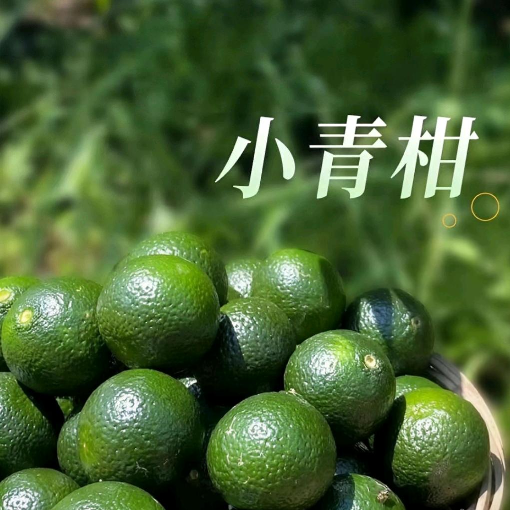 喝茶吹水开快车