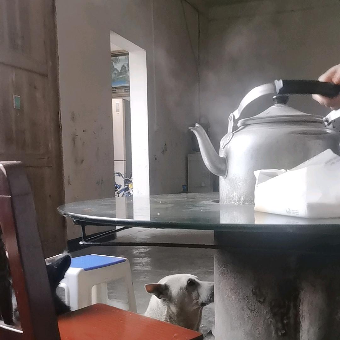 一起关爱中草药
