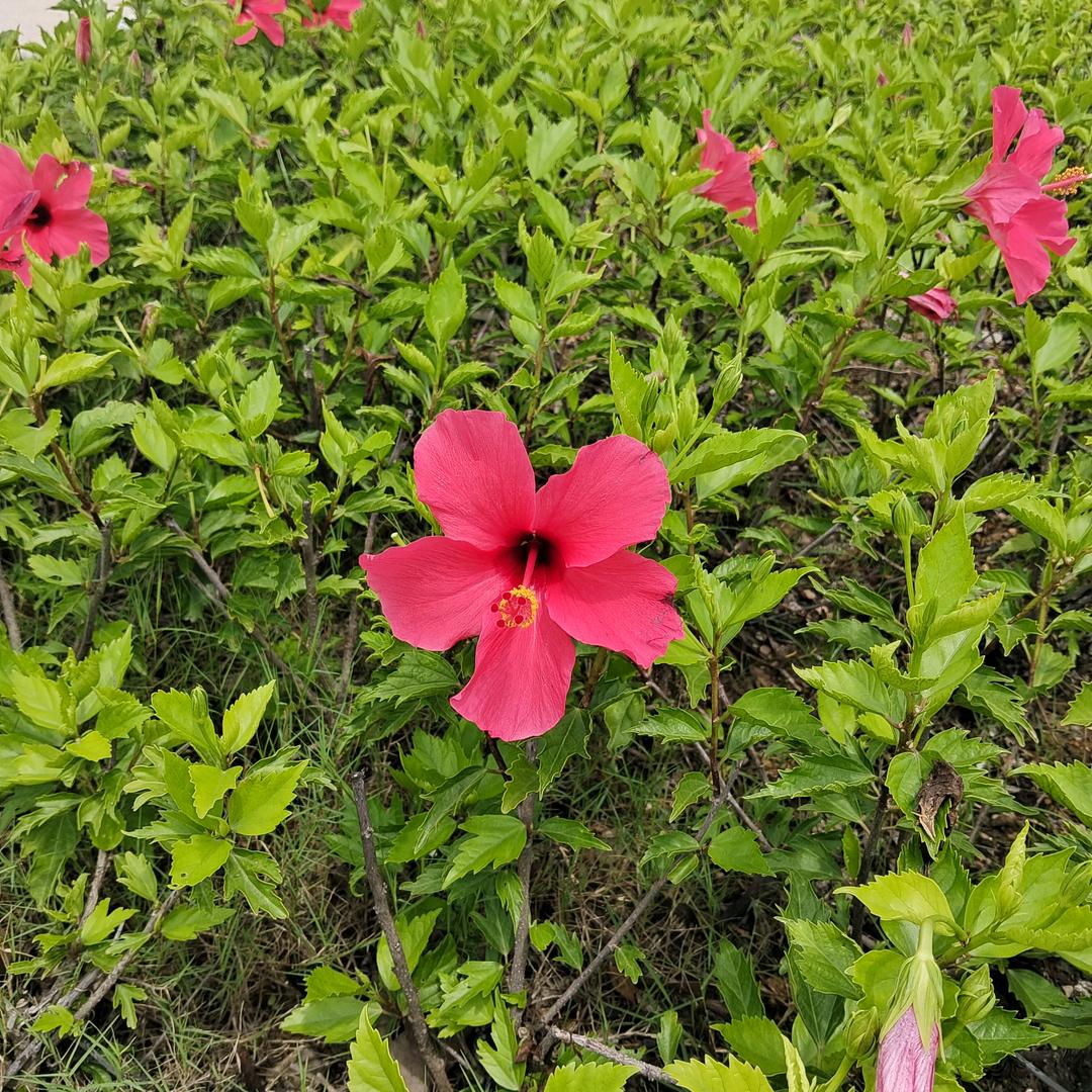 情绪的尽头是沉默