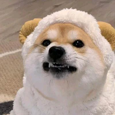 且从容