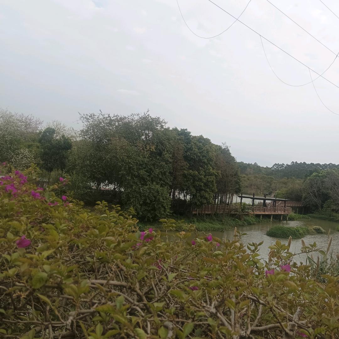 一见钟情