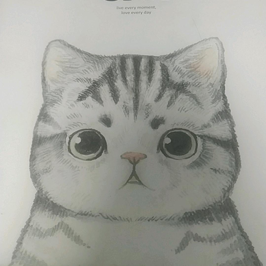 喵喵喵喵星人