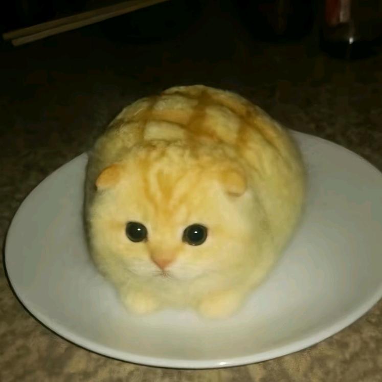 冬季呀！(喜小爱)