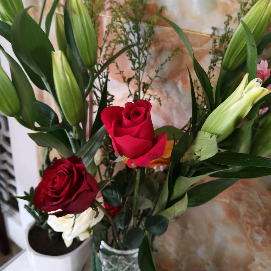 @🌷🍀美好的回忆.....