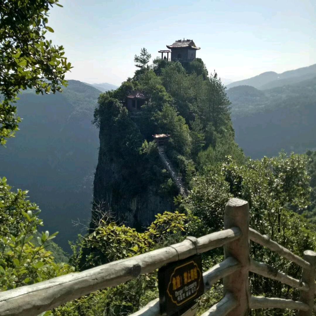 实力不允『许』女士