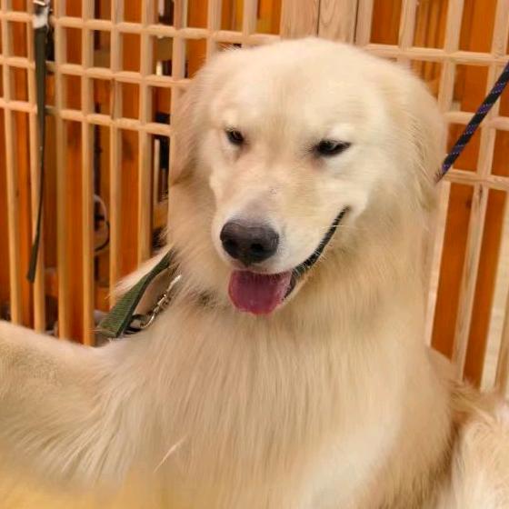 名字起的很长就会有人看完