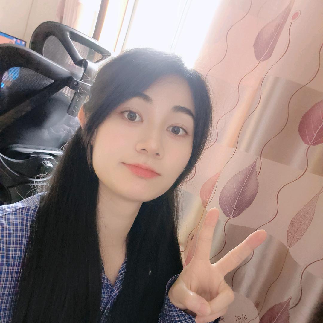 星河LI