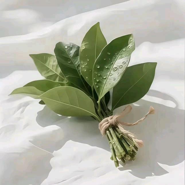 原来是皮皮羡呀🌈