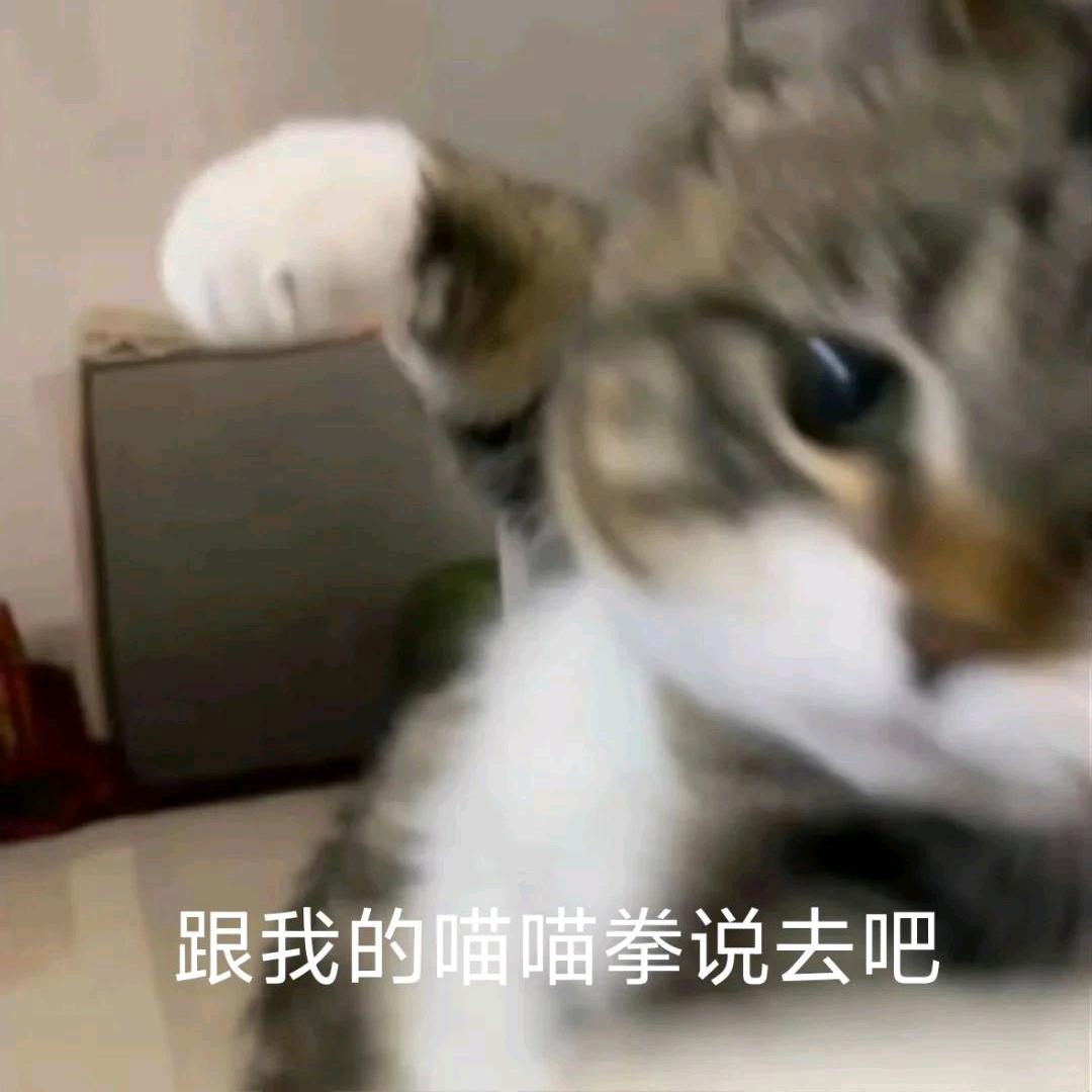 加里敦学子