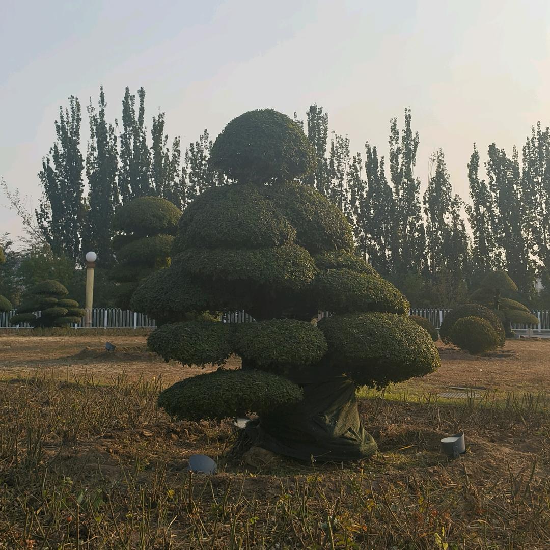 于善立