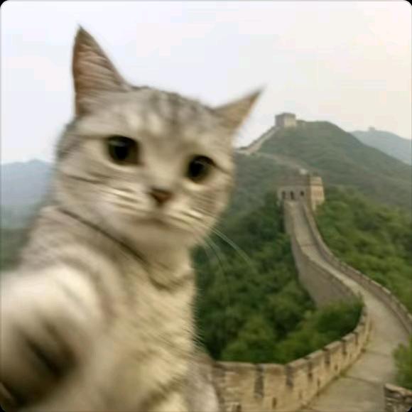 向历史的漂流瓶