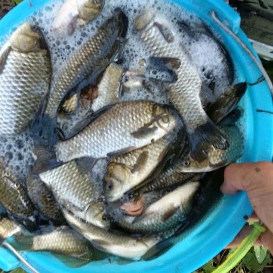 @ღ᭄ꦿ °🐟  生এyou᭄妳এ💕