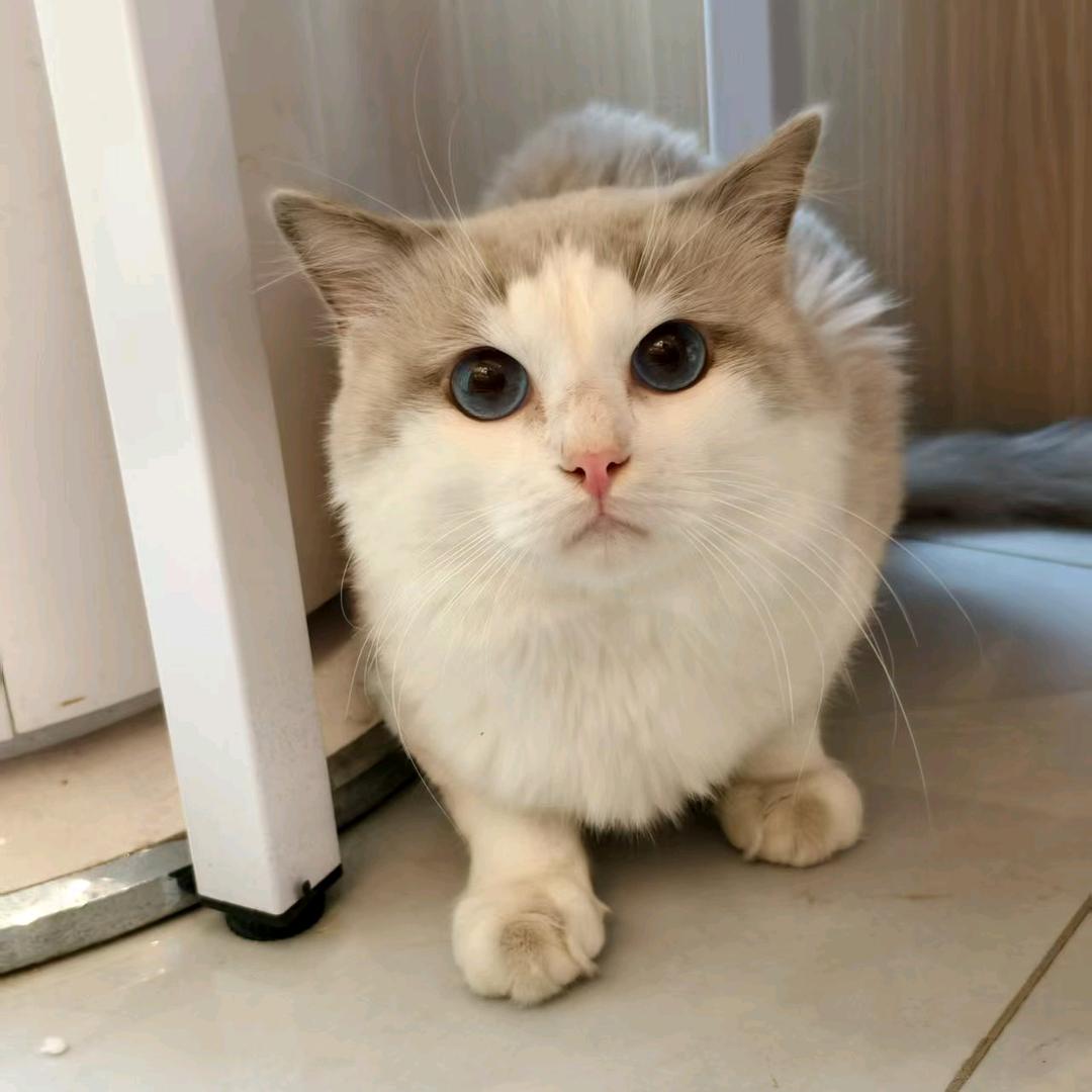 00后夫妻摆摊日记