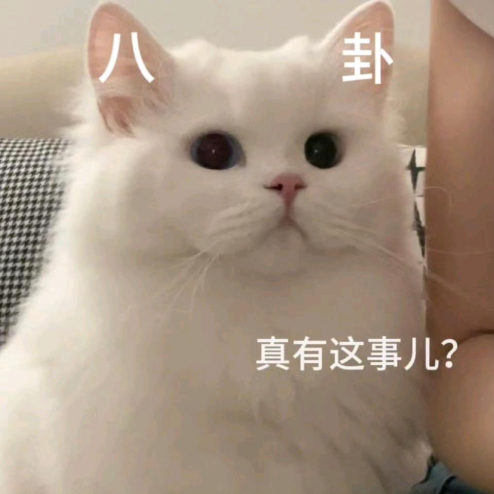 啦啦啦啦啦略略略略