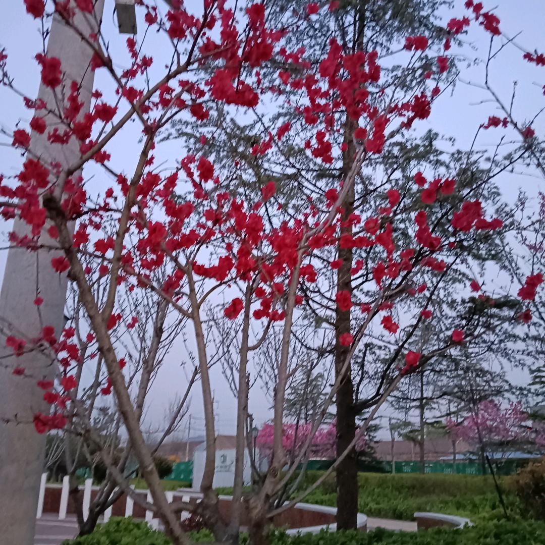 温柔岁月