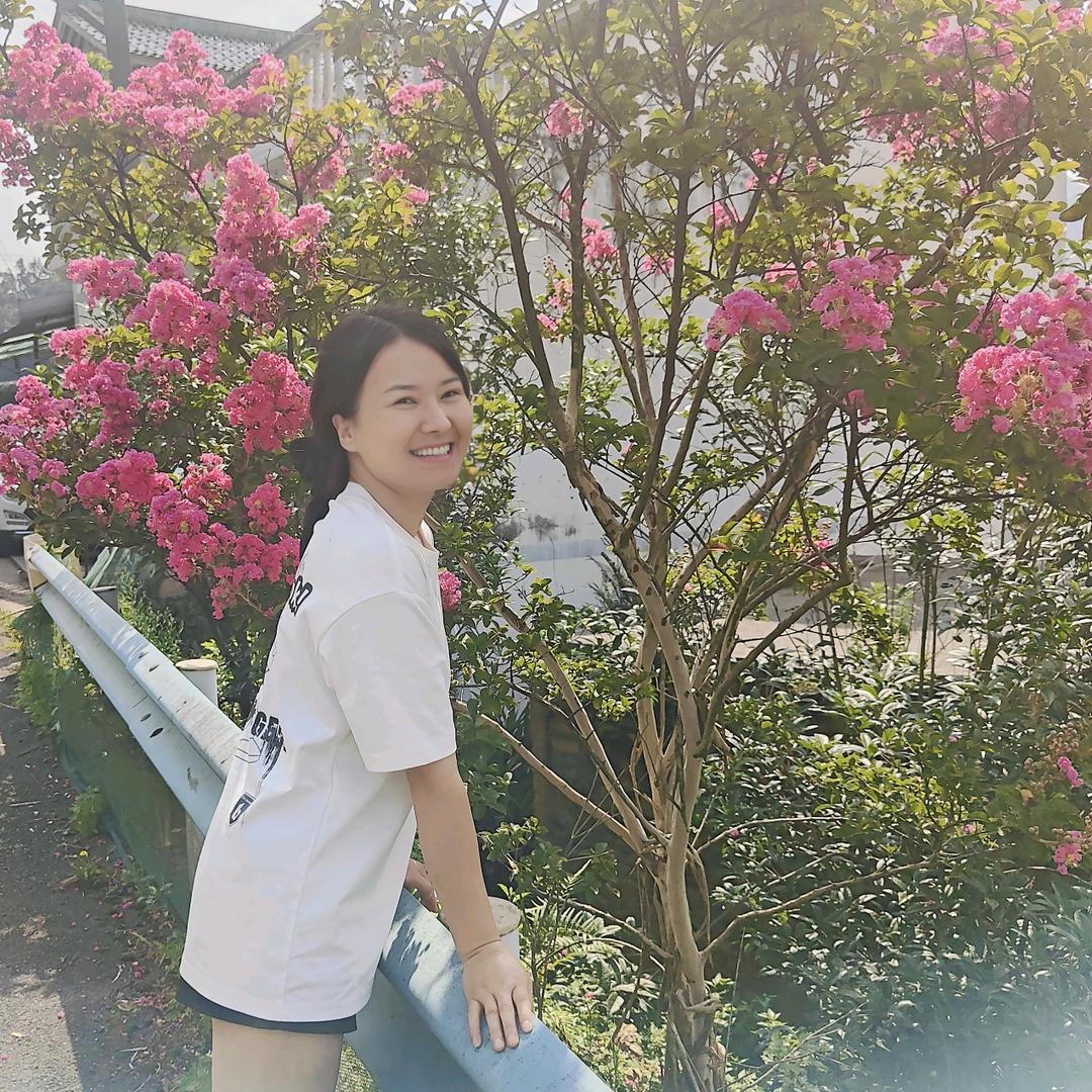 回归
