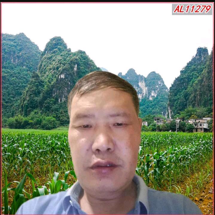 农村人《刘》
