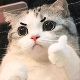 易知秋QAQ