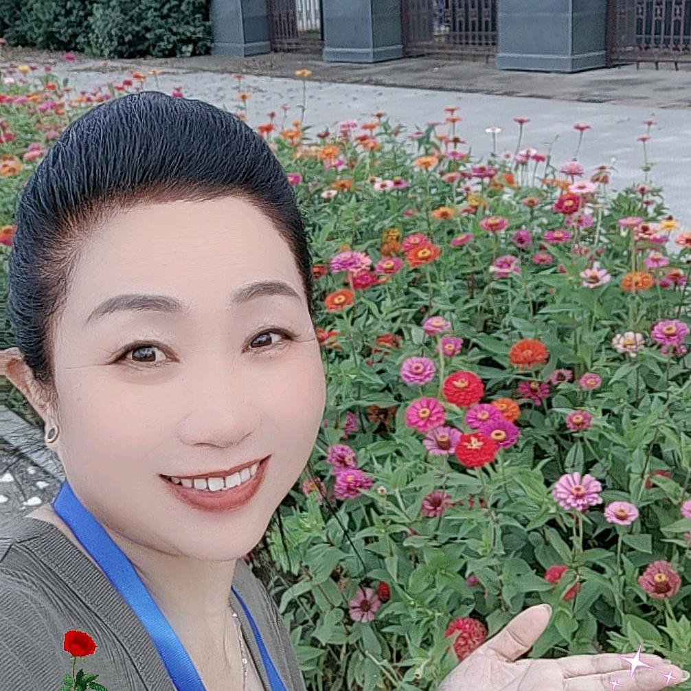 百合（橱窗好物）