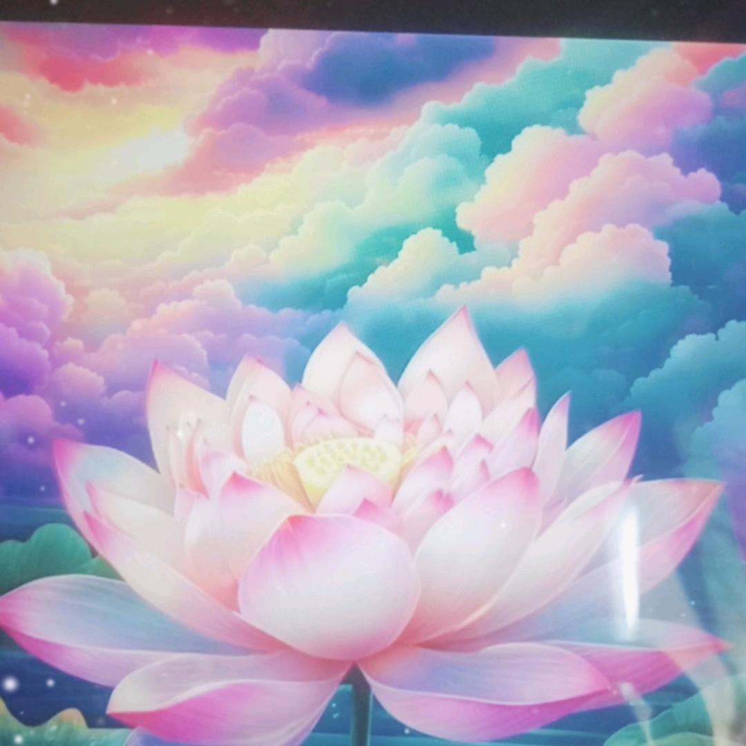 莲花开