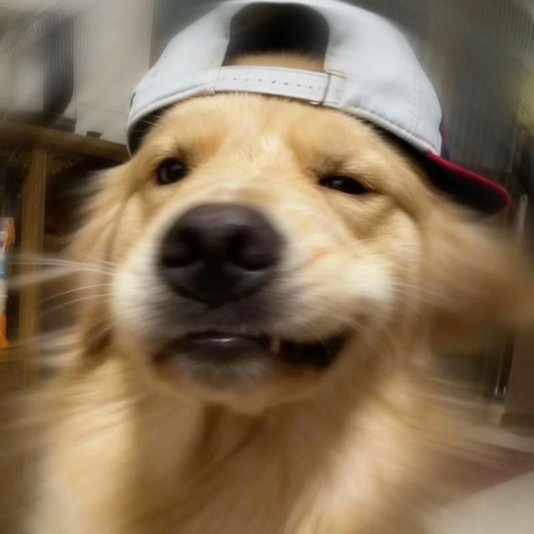 文ᶻ