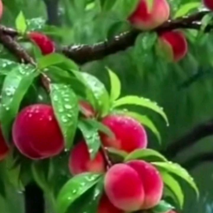 柳州螺蛳粉