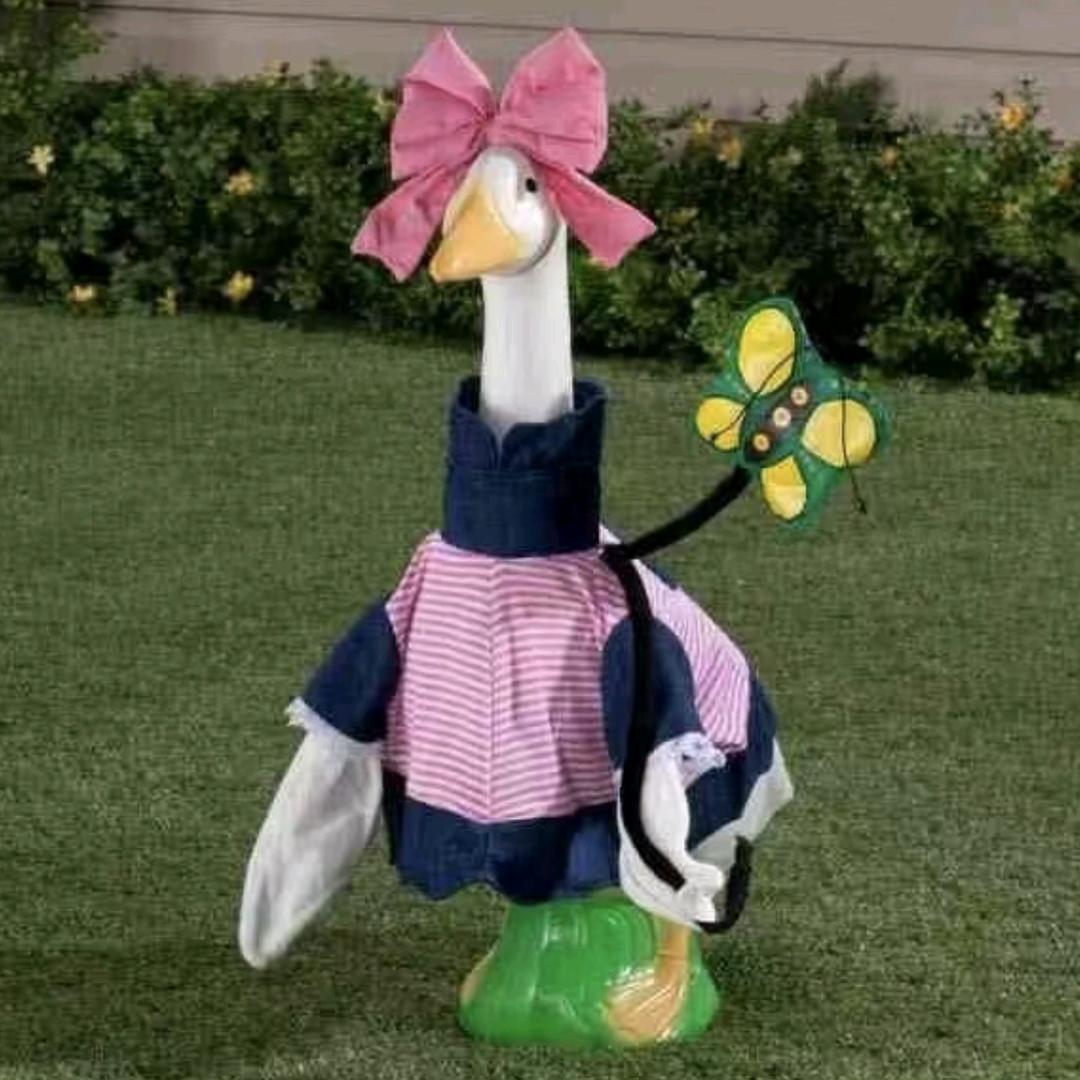 重生之我在扶绥卖草本香鸭