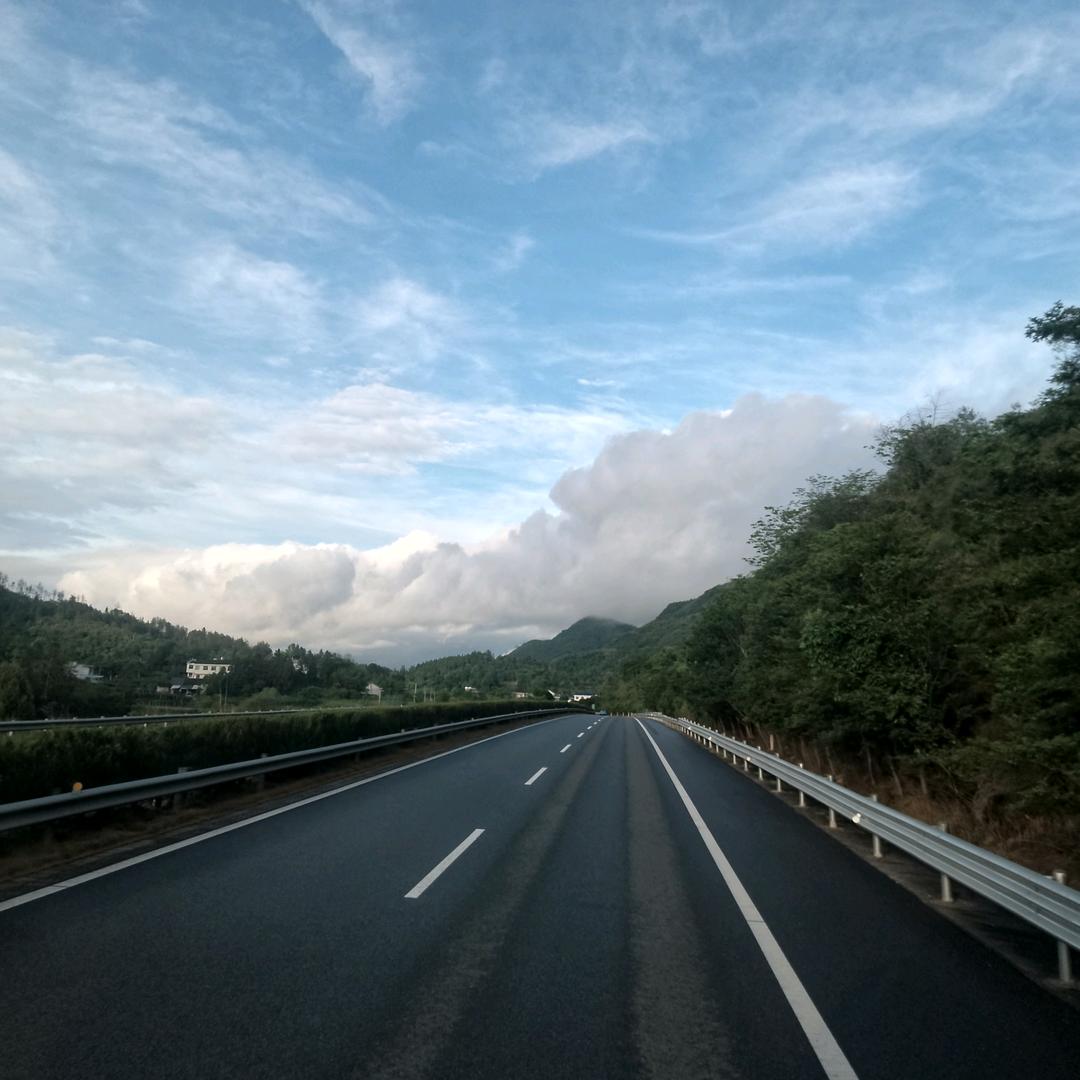 蓓蓓