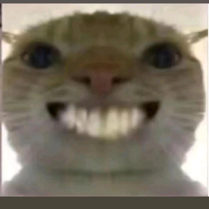 老谋（黄金鸟窝-上车啥也不用带）