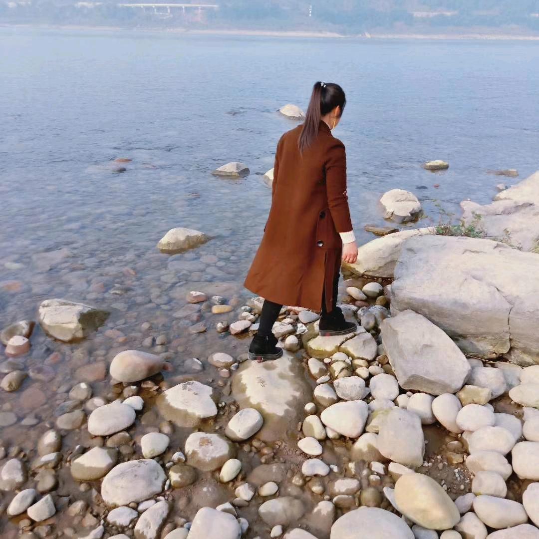 🍃枯🍂叶🍂蝶🍃