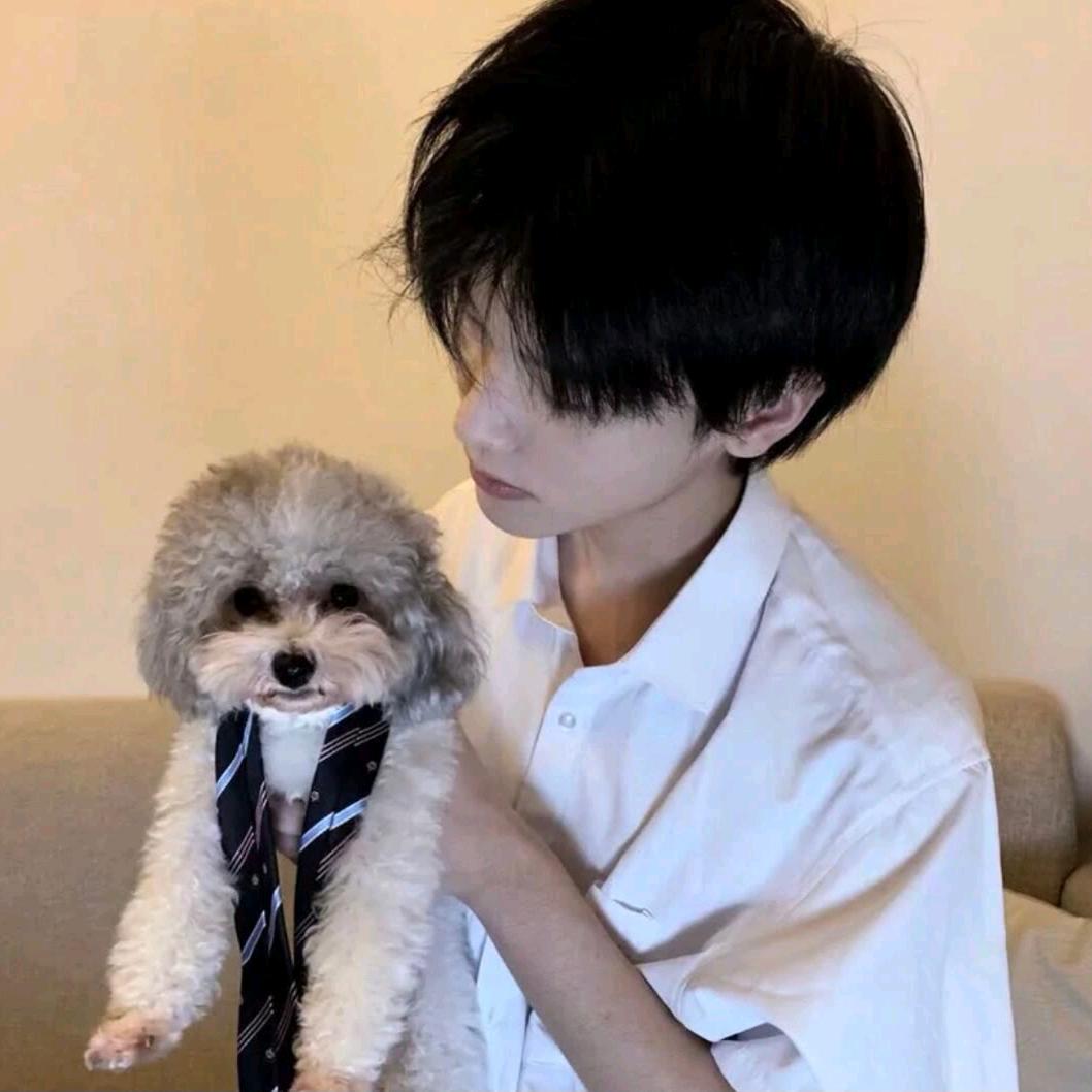 洛阳租房阿宁、