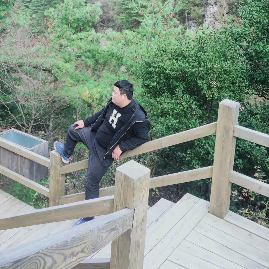 随心所欲