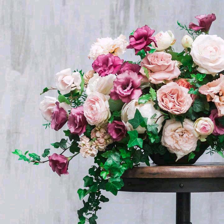 哪时花开(育儿)     拒绝私聊