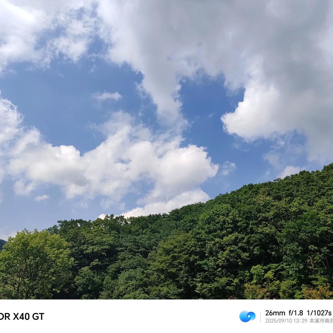 领导给我改名了叫金牌小诸葛