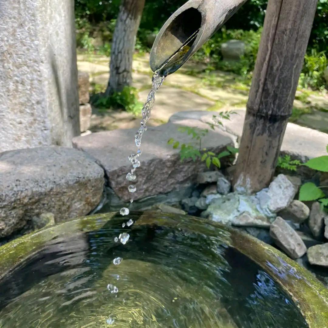 银河系的聪