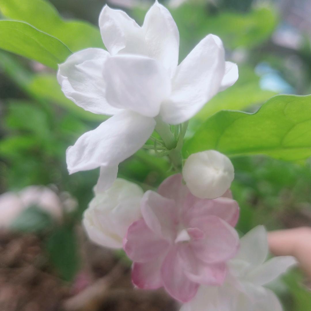 你。。。。。。。。。