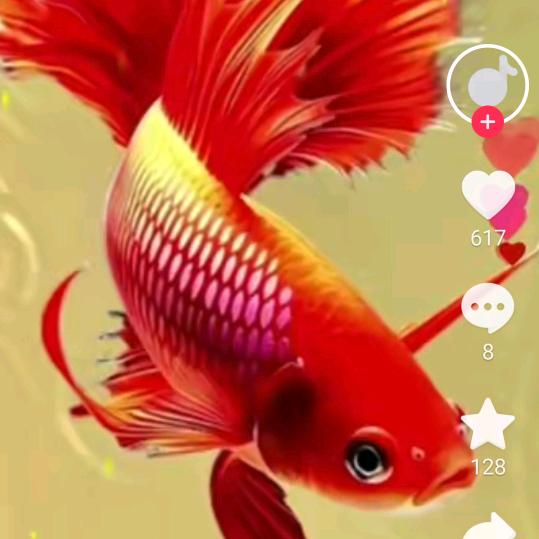 人生难得珍惜和拥有