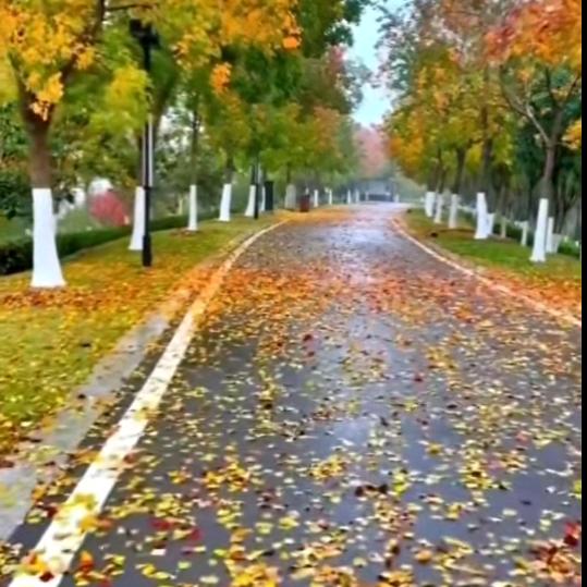 ♥♥幸运星⇔♥♥