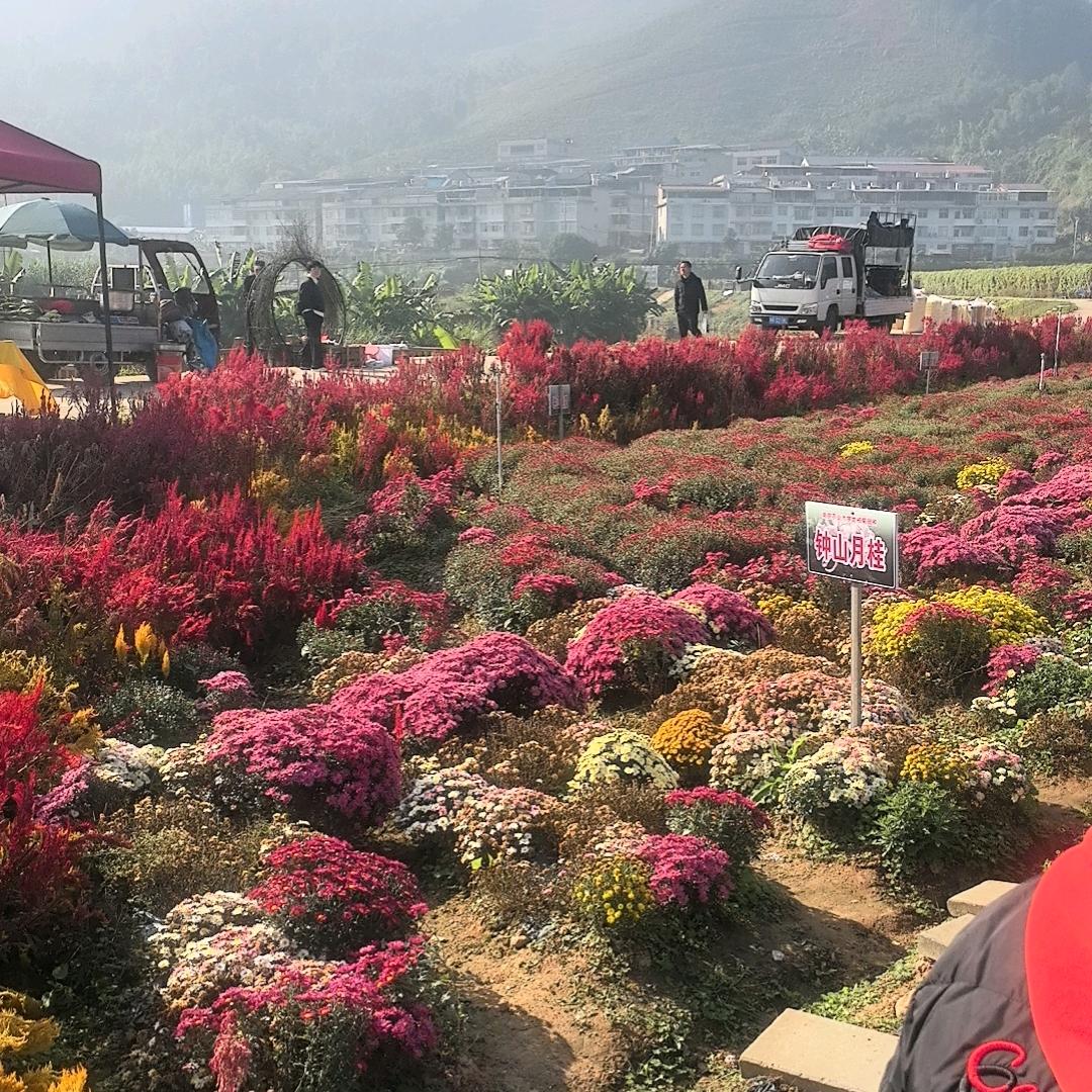 沙县出租车司机！