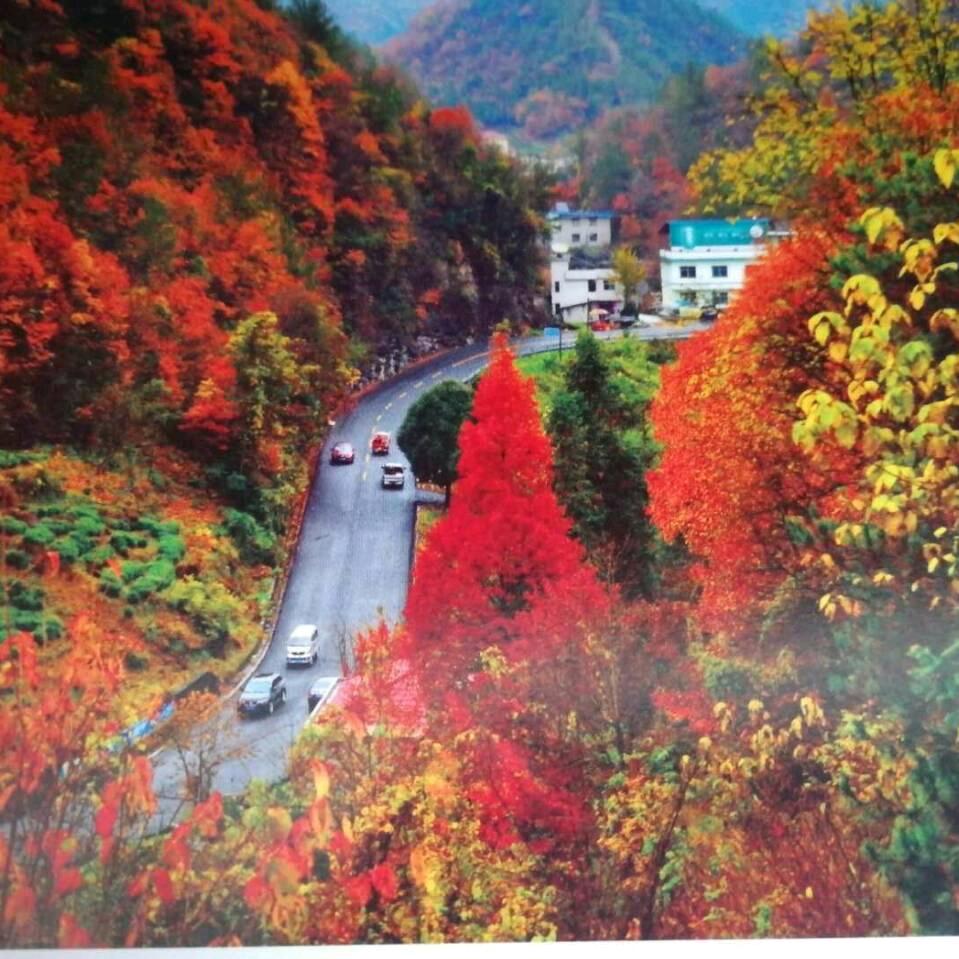 开开心心🌷🌷