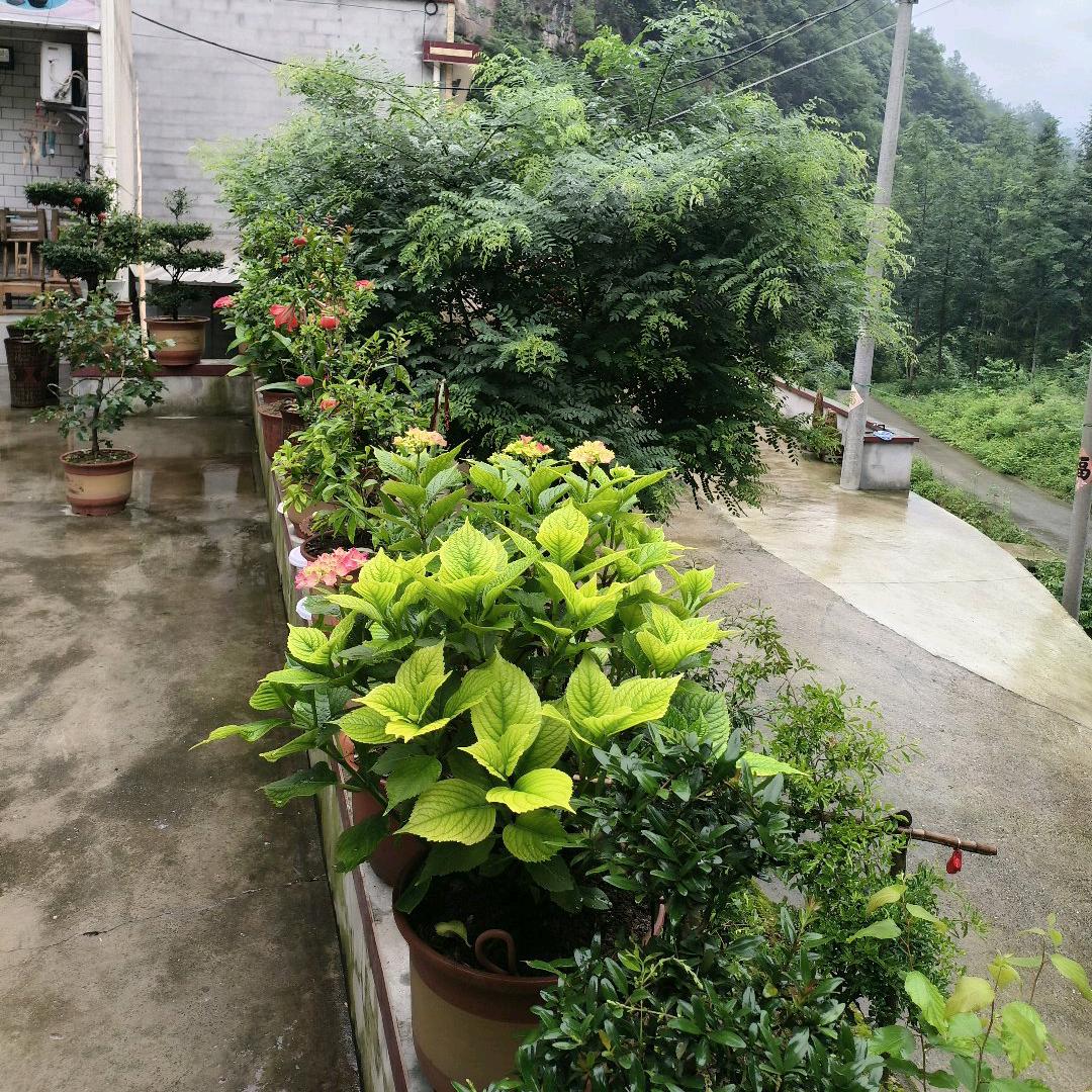 小豆芽🎙