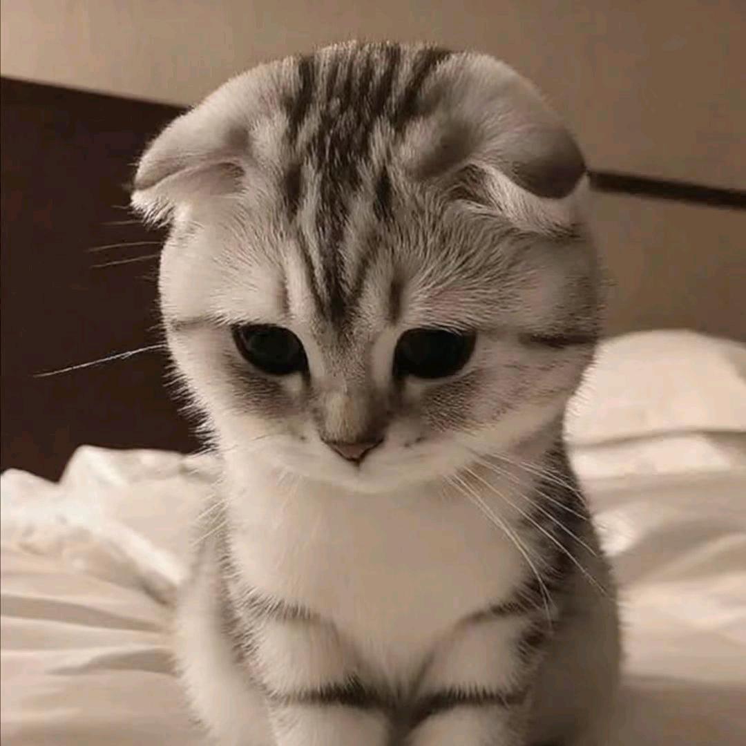 無故事